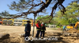 물야초등학교, 명상숲 복원사업 추진