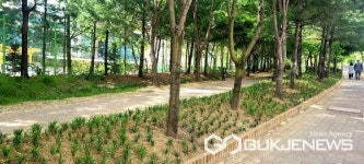 용인시 동백1동, 동백고교 일원  걷고 싶은 길  만들어