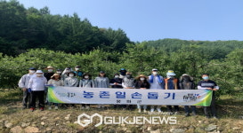 물야면, 농촌일손돕기에 구슬땀!