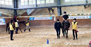 영천시, 장애인 재활승마 프로그램 운영