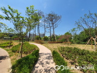 용인시 흥덕IT밸리 도심속 휴식 공간.. 호평