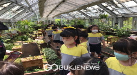 석포초병설유치원, 예천곤충박물관 체험학습 실시