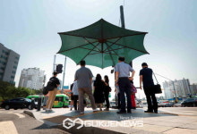 구로구, 여름철 종합대책 추진합니다!