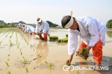 음성 삼성면 덕정2리, 풍년농사 기원 손 모내기 행사 열어