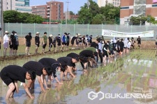 충북대학교 부속농장서 손 모내기 행사 눈길