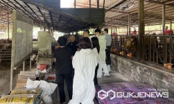 충주시, 한우농가 맞춤형 종합컨설팅 명품화 박차