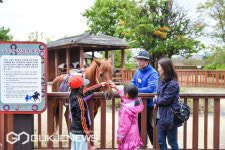 부산경남경마공원, 공원지역 25일부터 전면 개방