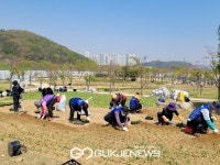 화성시, 시민과 함께 심은 꽃밭 보러오세요