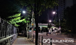 용인시 동백1동, 통학로ㆍ횡단보도 등 12곳에 LED 인도등 설치