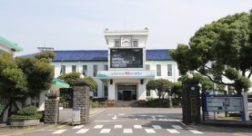 제주시, 제주해녀문화 계승 핀(오리발) 수영대회 개최