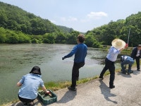 흙공아 영천강을 살려라