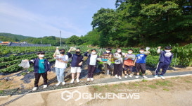 법전중앙초등학교, 작은 학교 가꾸기 학교 텃밭 상추 따기 체험