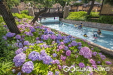 여름엔 물놀이야!  캐리비안 베이, 메가 웨이브 페스티벌 개최