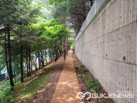 용인시, 포은대로 옆 오솔길...야자매트 설치 주민편의 UP