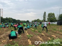 새마을운동 하남시지회, 나눔의 감자 수확 행사