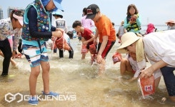 수영구, 2022년 어린이 조개잡이 체험행사 열린다