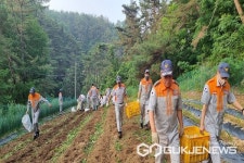 보은군 보은읍 남성의용소방대, 생산적 일손봉사 참여