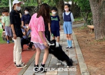 [제주학교 소식] 어도병설초, 건강에 좋은 음식은?…비만예방교육