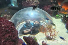 보은 판동초등학교 송죽분교장, 계절학교 운영 호응