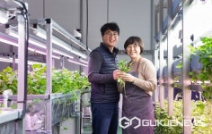 충주洪가네농원 | 충주 ㈜병풀농원, 우량 병풀 '비티-케어'품종 등록