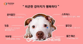 피곤한 강아지가 행복하다...고양플랜테이션, 반려견 교육 이색소개 눈길