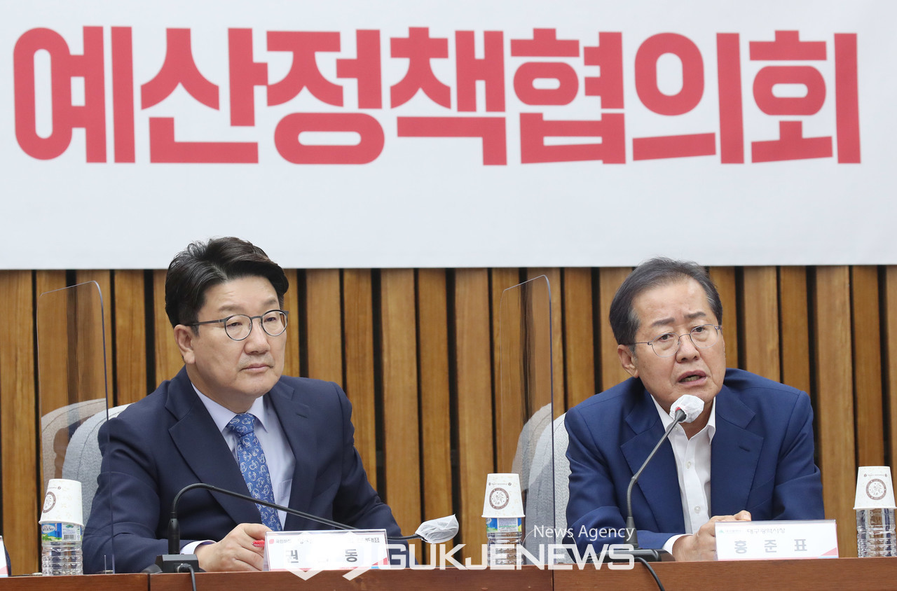 홍준표 대구시장, 최상목 대통령 권한대행 부총리 겸 기획재정부 장관 탄핵 추진에 강하게 비판