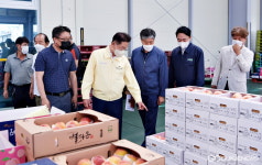 최기문 영천시장, 현장에 답이 있다…과일 생산농가·관계자 겨려