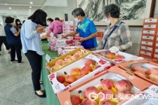 옥천군 명품 복숭아, 대전시청서 판촉행사 진행