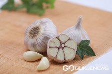 서산시, 서산6쪽마늘 판로 다각화 성과