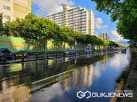 대구시 달서구청,  용산로 구간 열섬현상 완화 및 미세먼지 저감 로드 조성