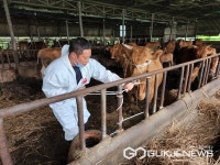 의령군, 하절기 다발 가축질병 예방 무료 순회 진료