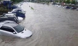 [속보]부산 동래구 세병교·수연교·연안교 하상도로 통제 많은 비로 침수 주의