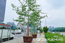 용인특례시, 삼계고 등 5곳 도시숲 조성...자투리 땅에 녹지공간