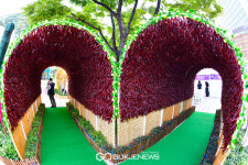 [영양고추HOT페스티벌] LOVE 영양고추