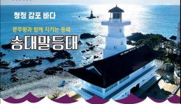 대한민국 관광1번지 경주에도 청정바다가 있다
