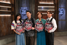 동물농장 프로젝트 탑독 특수 목적견 비오·폴리·제스퍼 활약은?