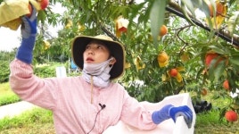 인간극장 의성 복숭아밭 효녀 유세연 씨 유청이 별명 뜻은?