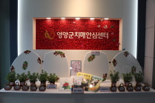 영양군, 제15회 치매극복의 날 행사 개최