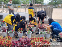 대구시 달성군, 학교4-H 가을꽃 화단가꾸기 교육 실시