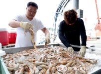 맛도 가격도 역대급!...태안 안면도 대하축제 3년 만에 다시 열린다
