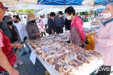영동군, 7회 상촌 자연산버섯 음식거리 축제 열려