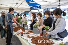 증평군, 문화가 있는 날 창동리 화분심GO, 사진찍GO 행사 개최