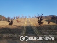 사천 용두공원에 무궁화동산 들어선다