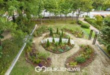 양천구, 주민이 직접 가꾸는 정원도시 축제 연다