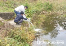 충주시, 버들붕어 방류로 생태계 복원 앞장