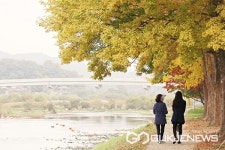 영동군 양산팔경 금강둘레길 걸으며 힐링 만끽