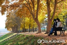 영동군 양산팔경 금강둘레길 걸으며 힐링 만끽