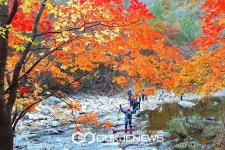 인제군, 제5회 인제천리길 걷기 축제 마지막 일정에 총력