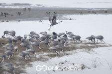 [날씨] 강원도 오늘과 내일 50mm 가을비→산지 우박 또는 눈소식