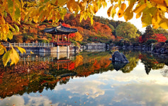 서울근교 이상한변호사우영우 낙조마을촬영지, 가을여행 단풍절정시기·명소 당일치기 오늘날씨 구경가볼만한곳
